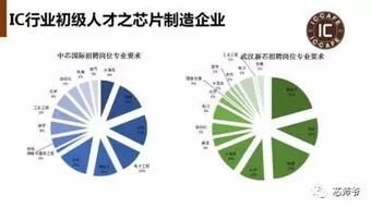挖人 風(fēng)潮再起 我國(guó)半導(dǎo)體行業(yè)人才供需狀況解讀